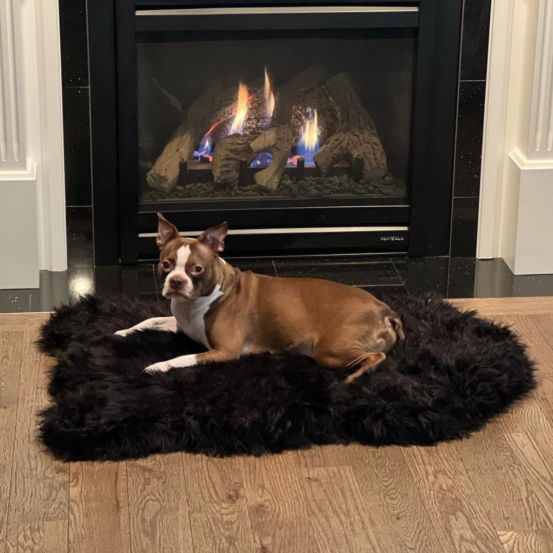Orthopedic Faux Fur Dog Bed - Midnight Black