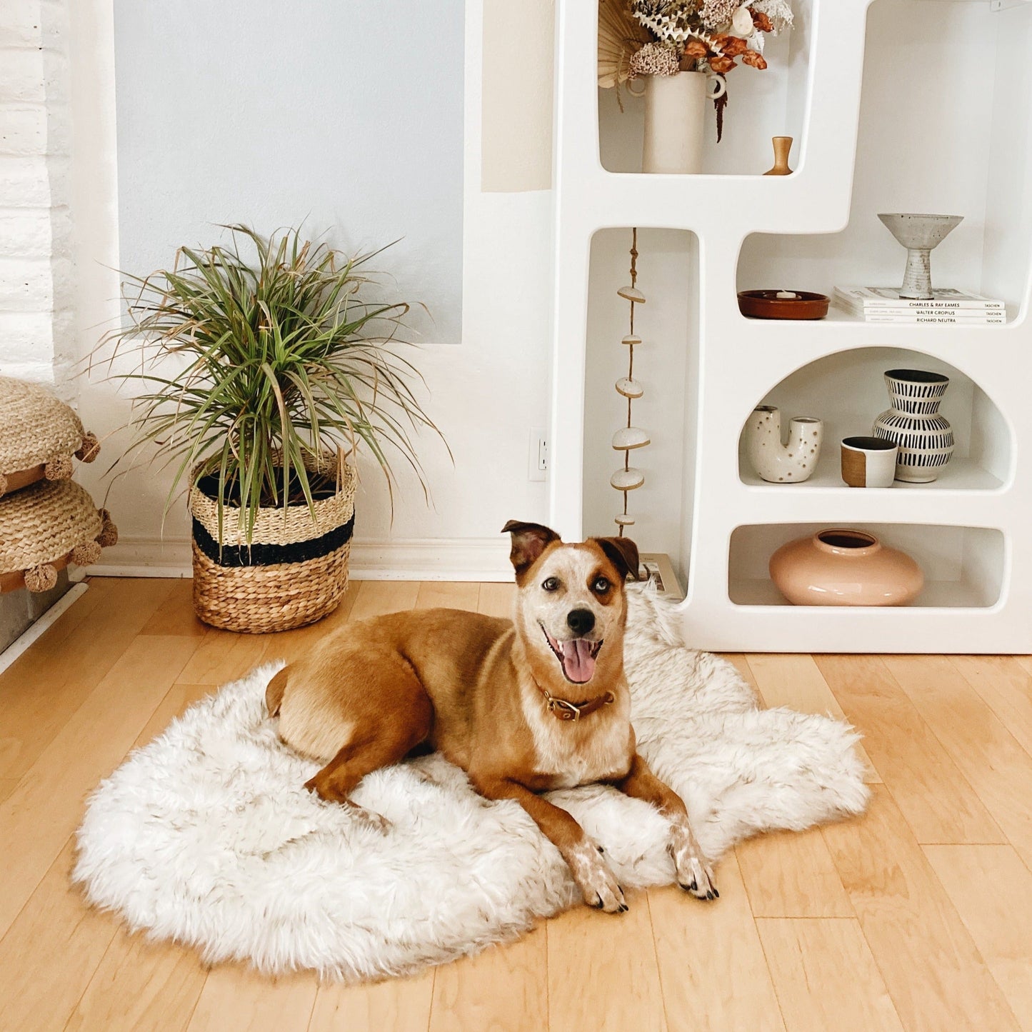 Orthopedic Faux Fur Dog Bed - White with Brown Accents