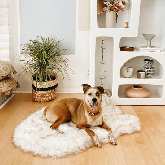 Orthopedic dog bed made of faux fur - curve white with brown accents