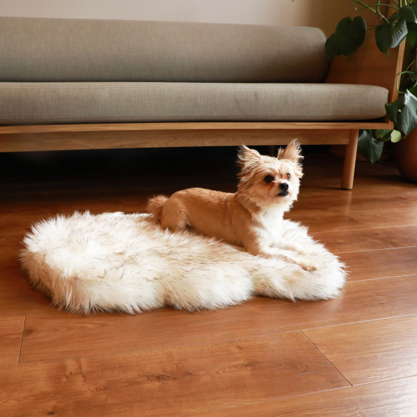 Orthopedic dog bed made of faux fur - curve white with brown accents