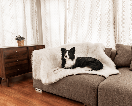 Orthopedic Dog Bed with Waterproof Blanket - White