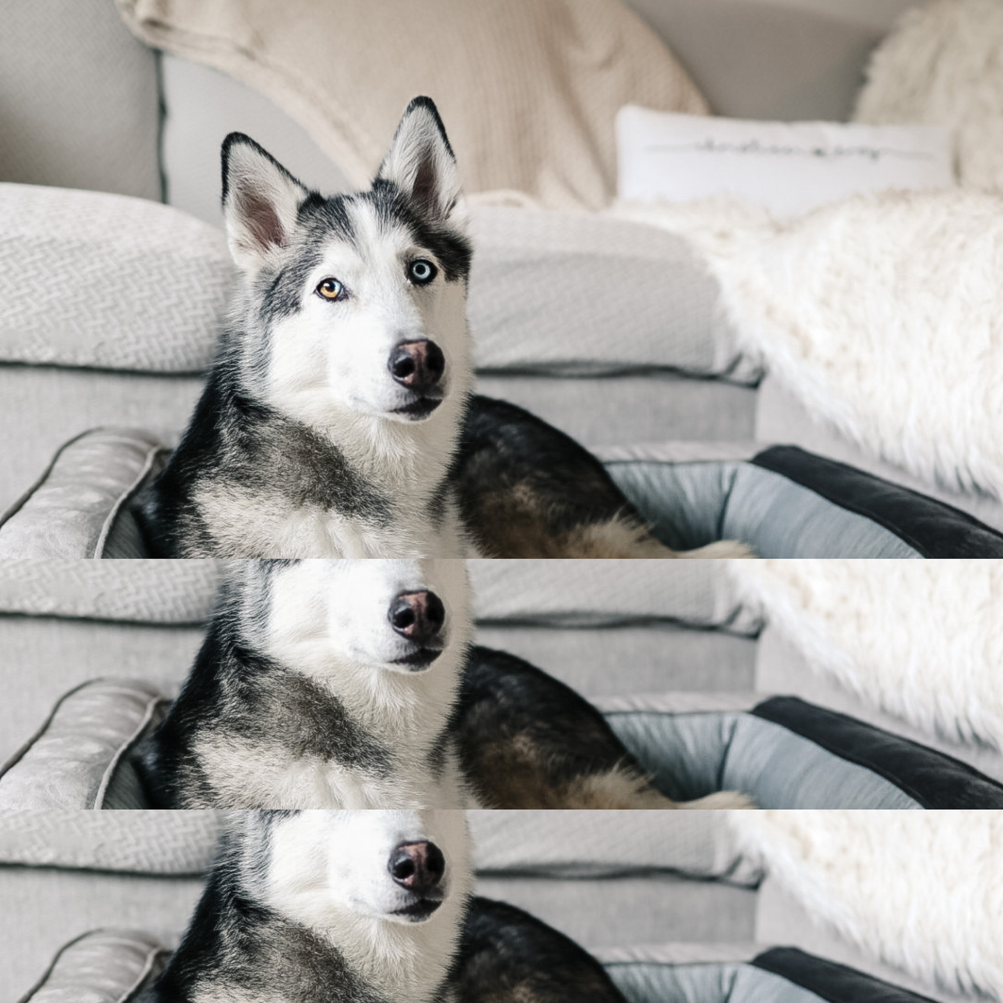 Cooling Bolster Dog Bed + Waterproof Blanket Bundle - Arctic Grey