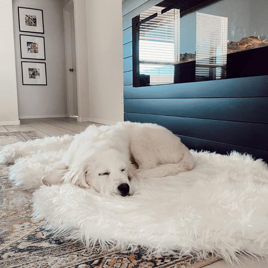 Orthopedic dog bed made of faux fur - Curve Pool White
