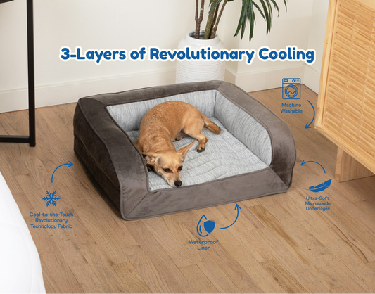 Cooling dog bed