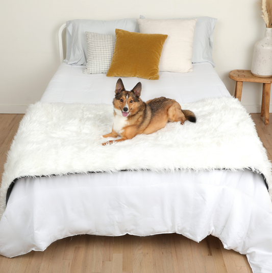 Waterproof Dog Bed Runner - Polar White