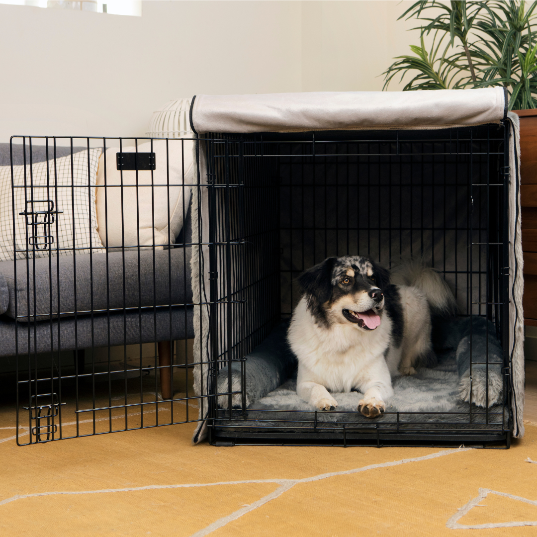 Crate Upgrade Set - Anthracite for Dogs