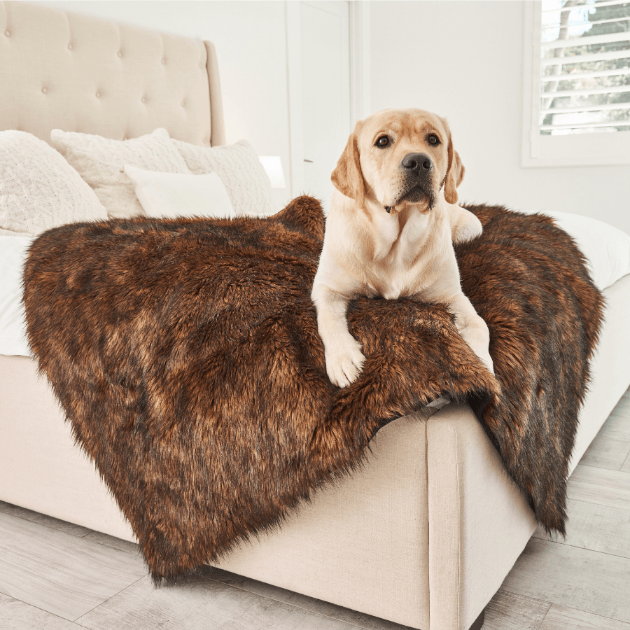 Waterproof blanket for dogs - Brown