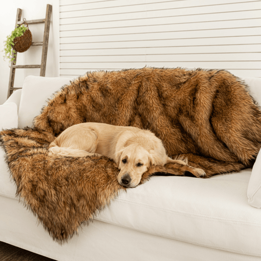 Waterproof blanket for dogs - Sable Tan