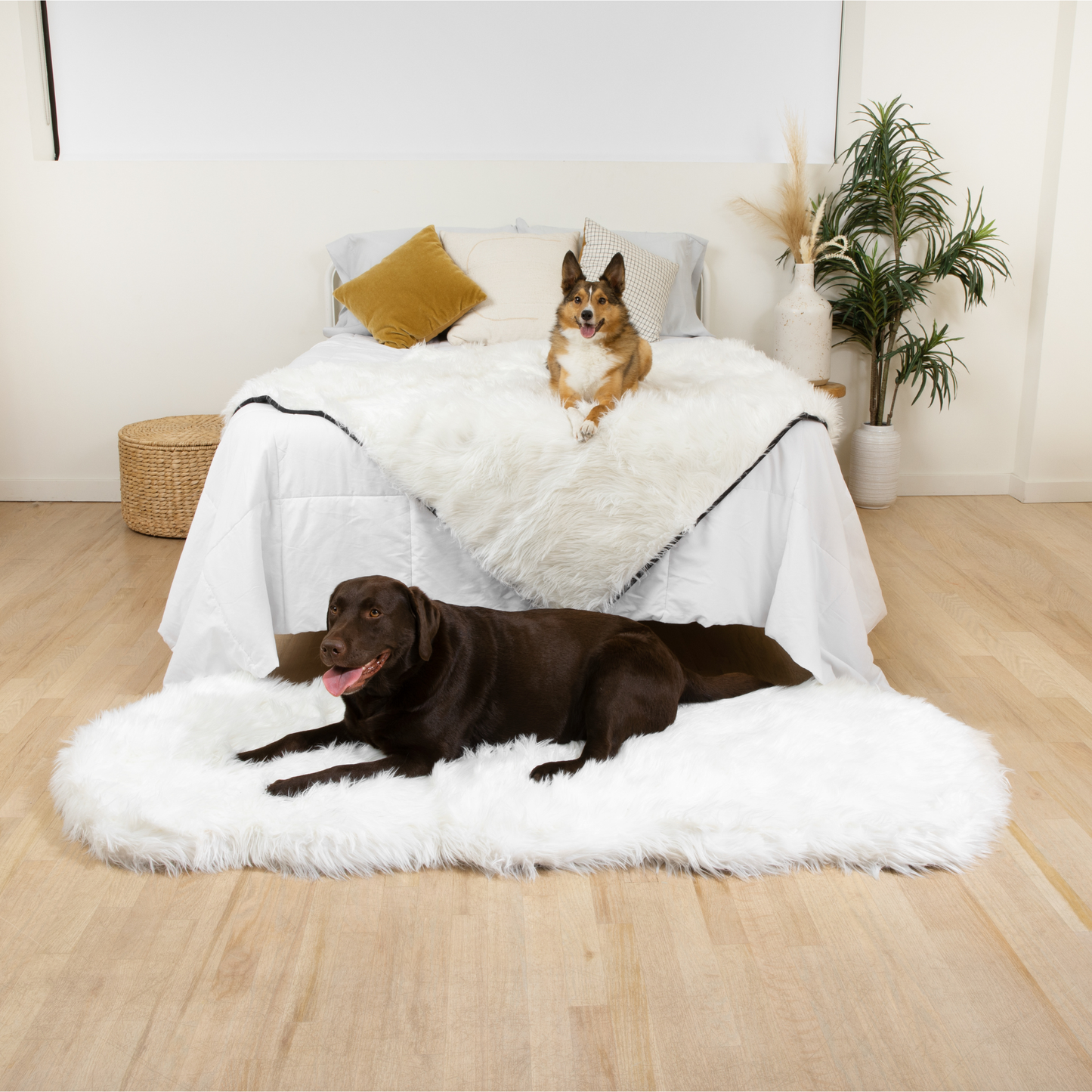 Orthopedic Runner Bed for Dogs + Waterproof Blanket Set - White