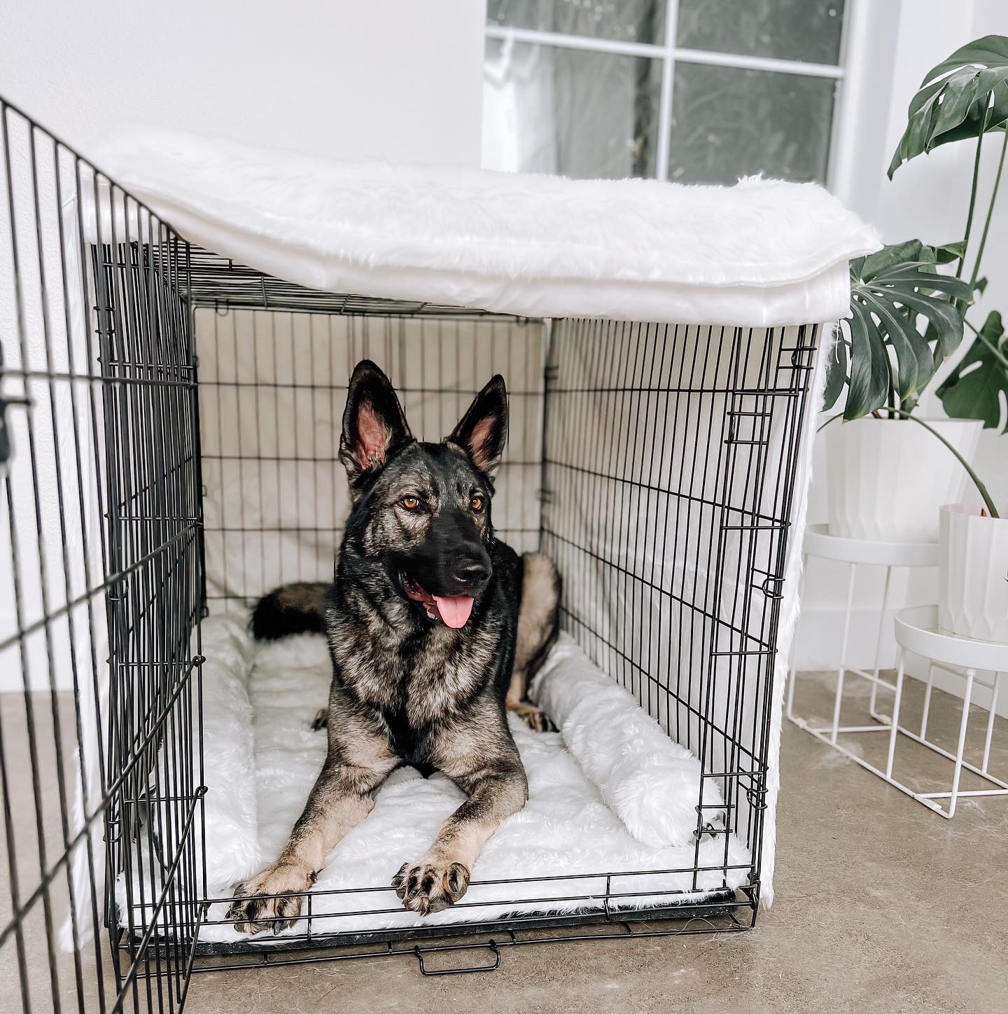 Dog Crate Upgrade Kit - Polar White