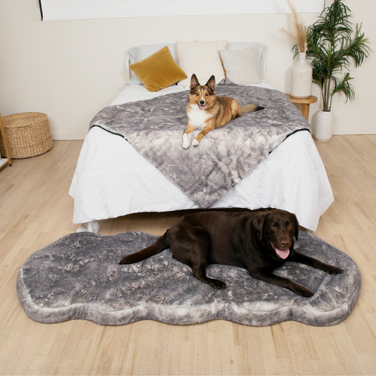 Orthopedic Runner Bed for Dogs + Waterproof Blanket Set - Chinchilla