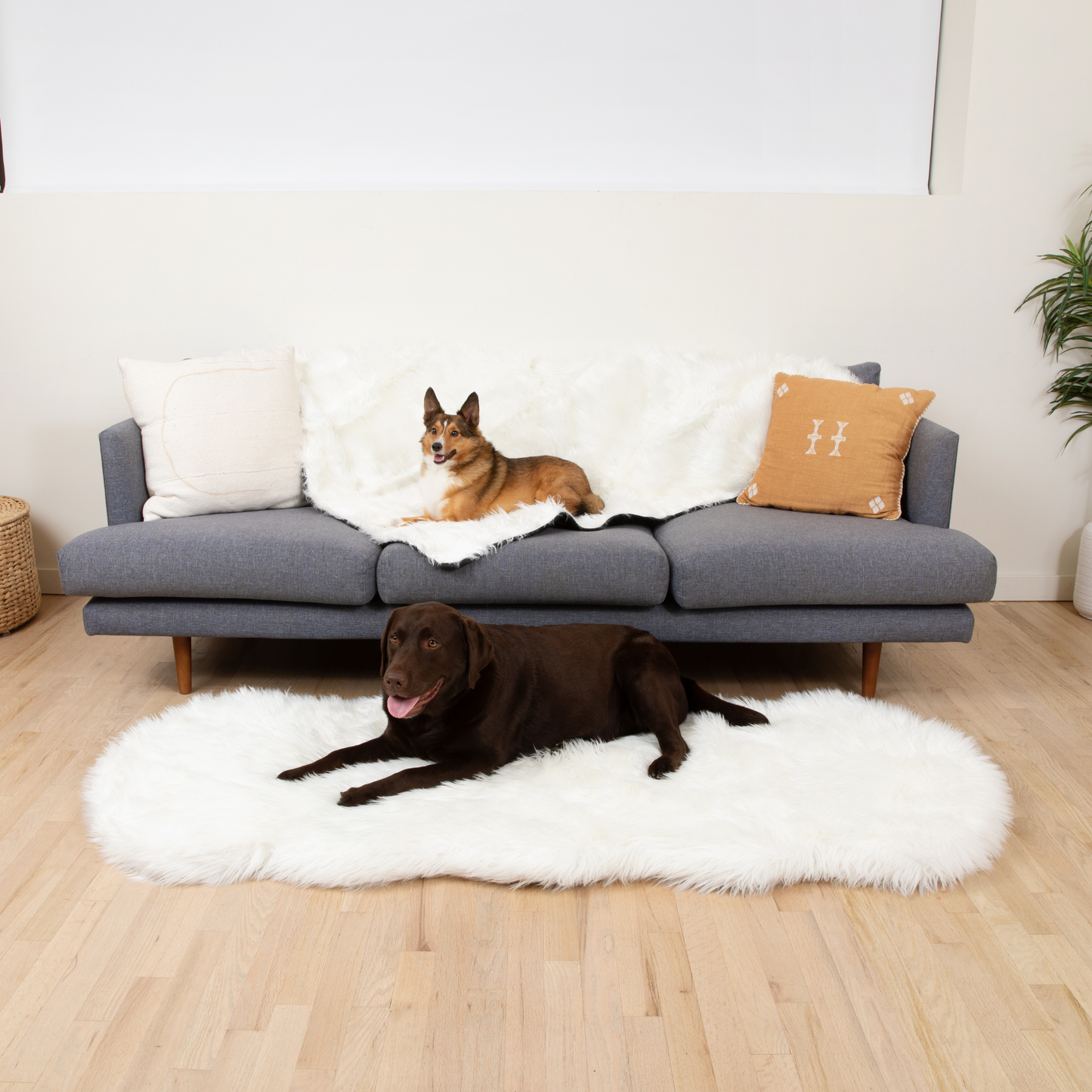 Orthopedic Runner Bed for Dogs + Waterproof Blanket Set - White