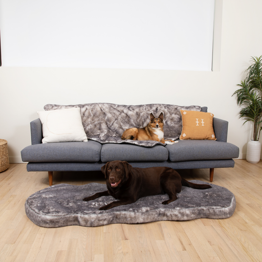 Orthopedic Runner Bed for Dogs + Waterproof Blanket Set - Chinchilla