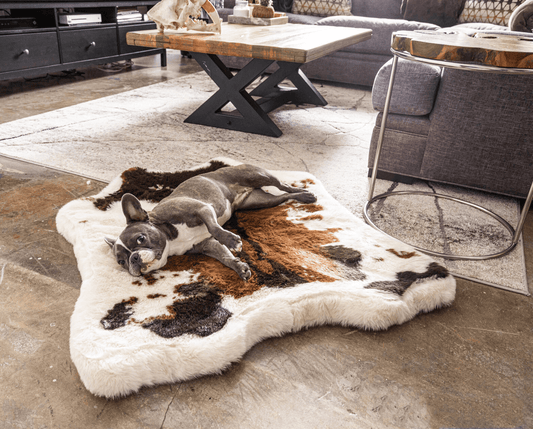 Animal Pattern Memory Foam Dog Bed - Brown in Faux Cowhide