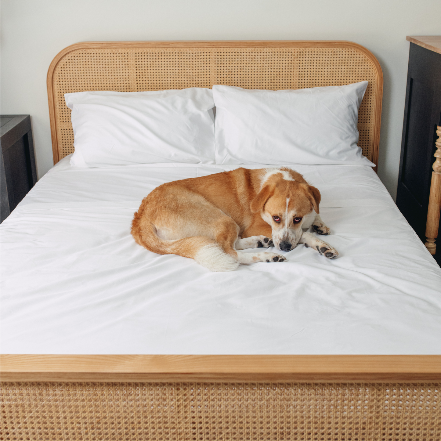 Hair Resistant, Antimicrobial and Cooling Bedding for Dogs - White