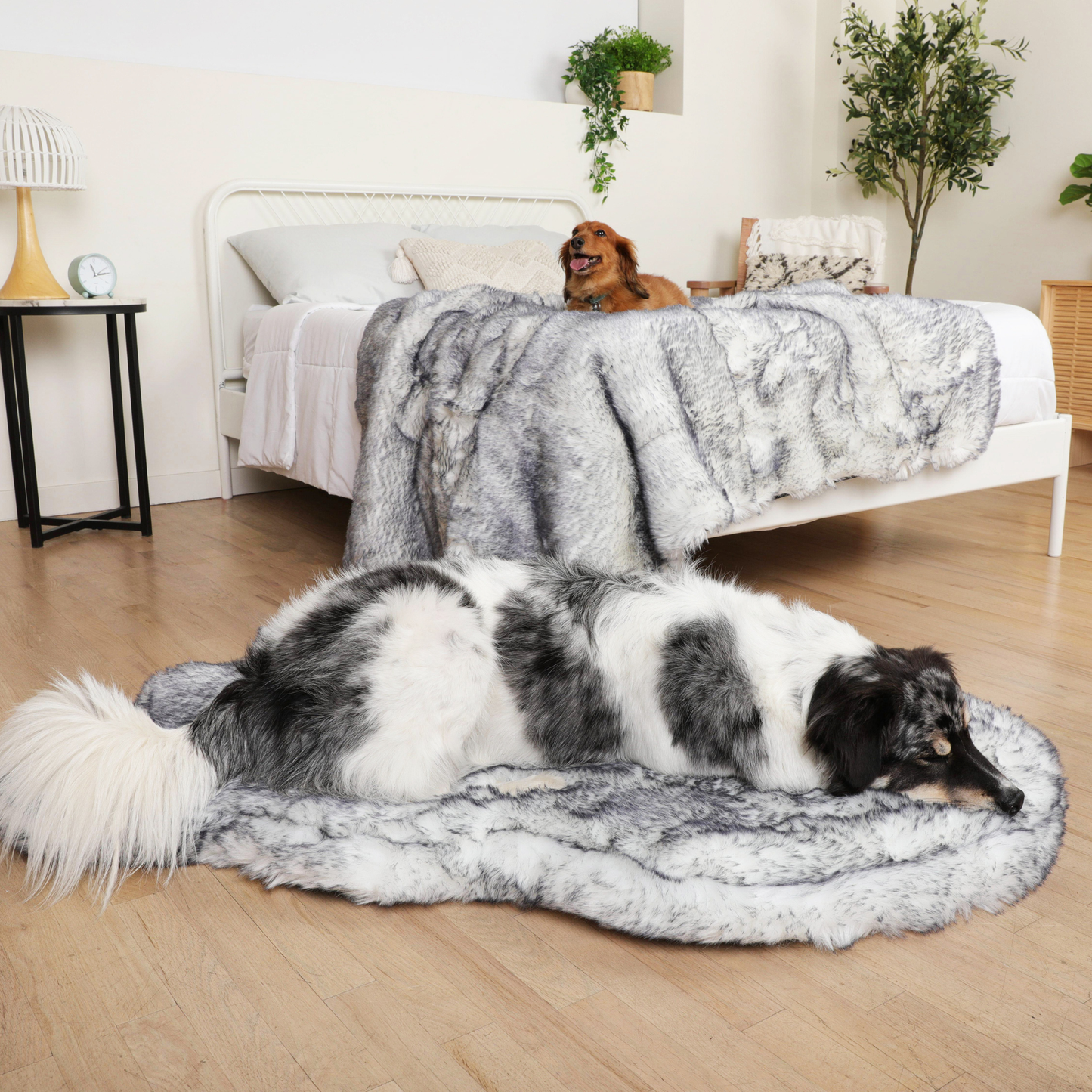 Orthopedic dog bed with waterproof blanket - Arctic Fox
