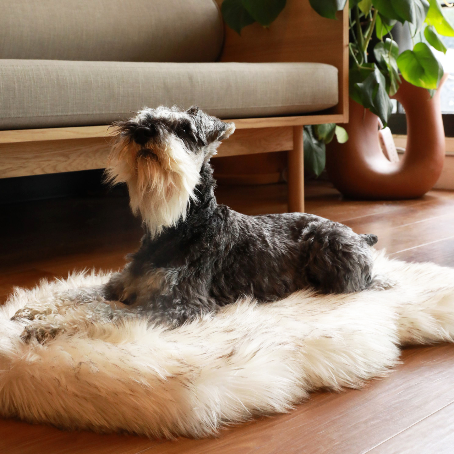 Orthopedic dog bed made of faux fur - curve white with brown accents