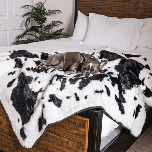 Waterproof blanket for dogs - Black faux fur