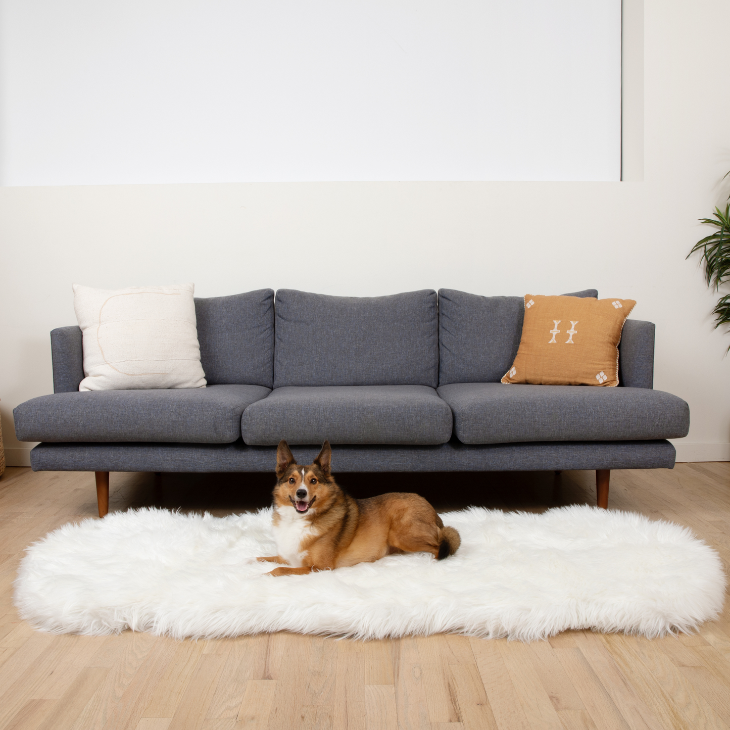 Runner Memory Foam Dog Bed - Curve White