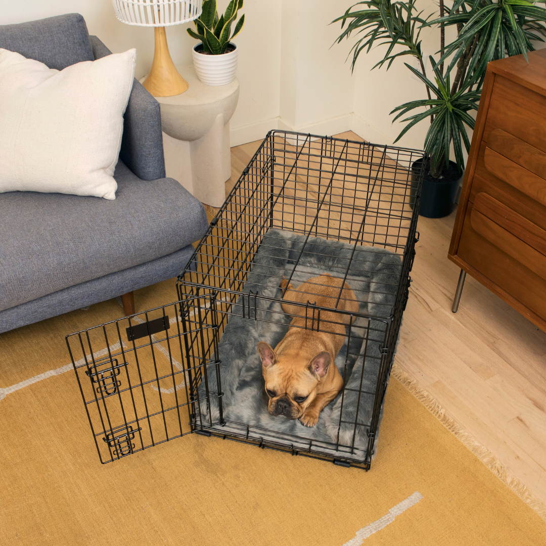Crate Upgrade Set - Anthracite for Dogs