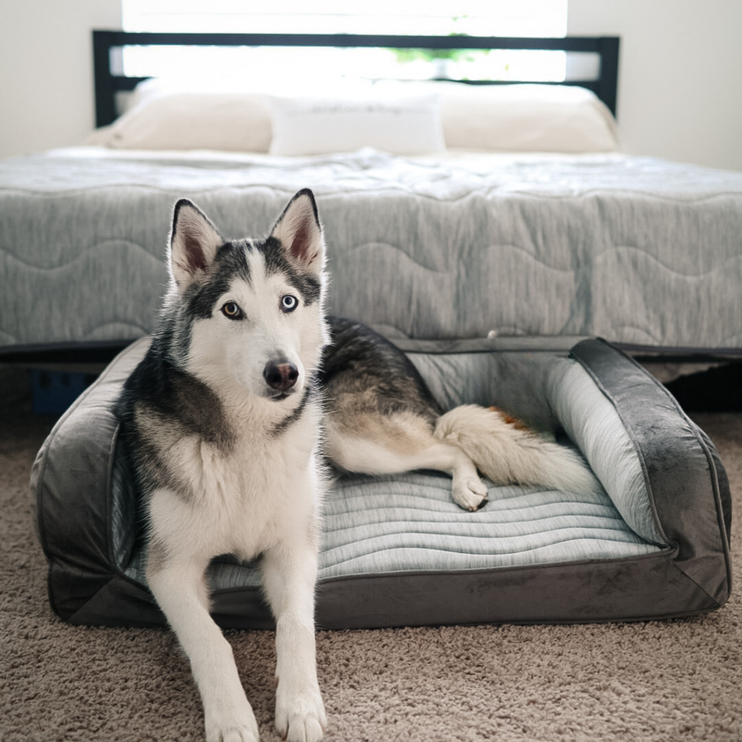 Cooling Bolster Dog Bed + Waterproof Blanket Bundle - Arctic Grey