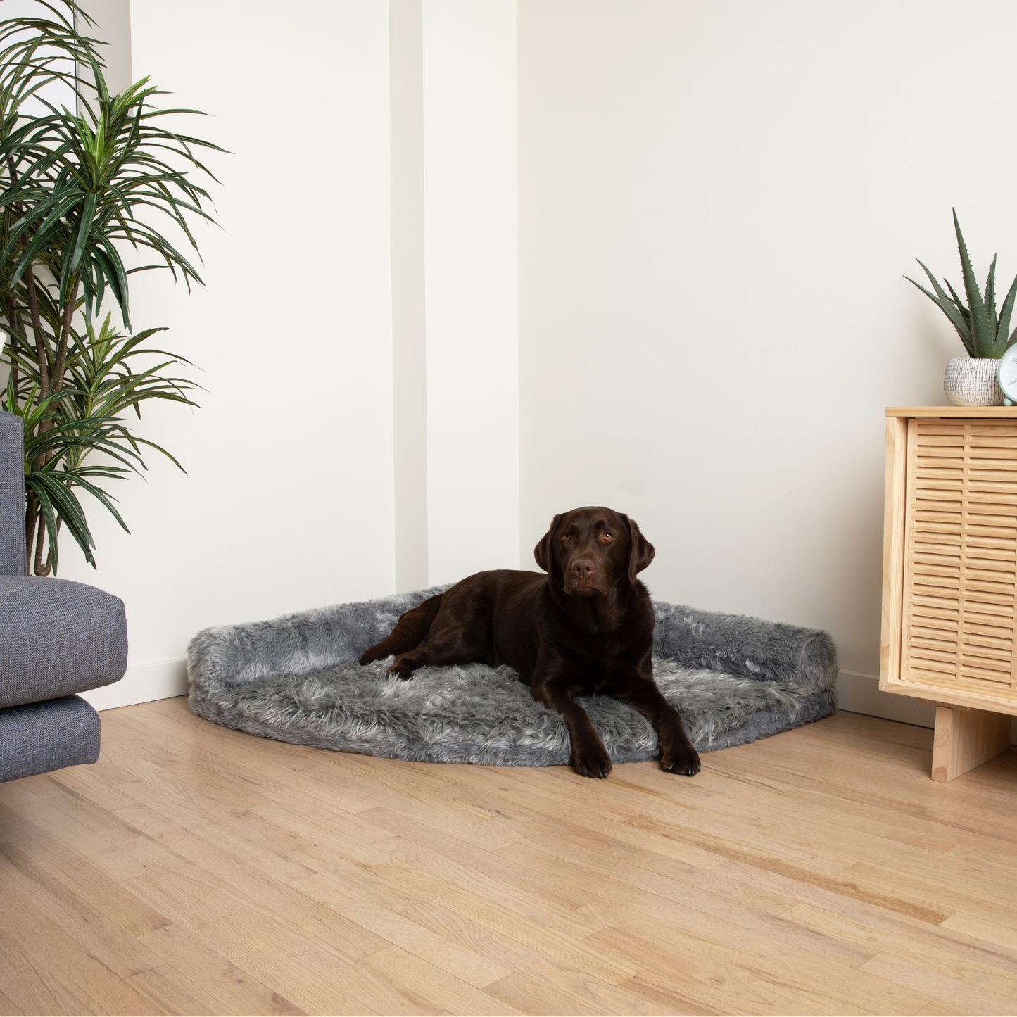 Corner Memory Foam Dog Bed - Charcoal Grey