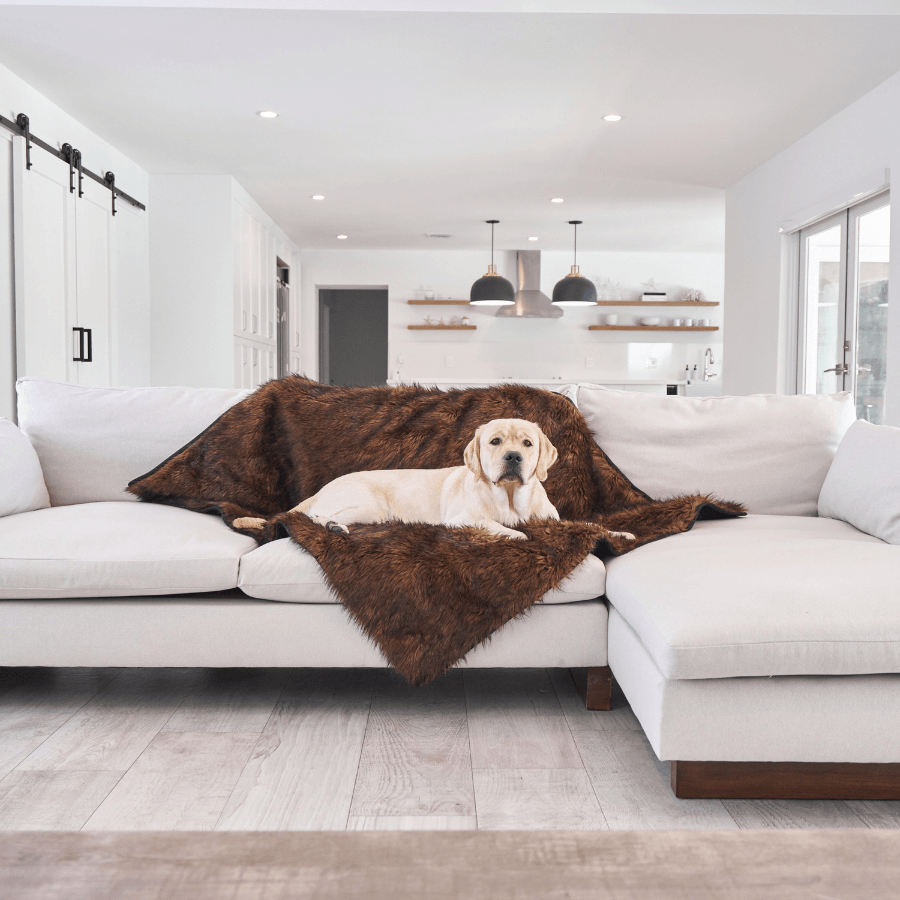 Waterproof blanket for dogs - Brown