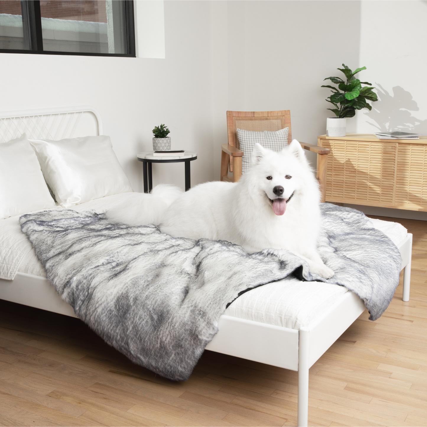 Orthopedic runner bed for dogs with waterproof blanket - Arctic Fox
