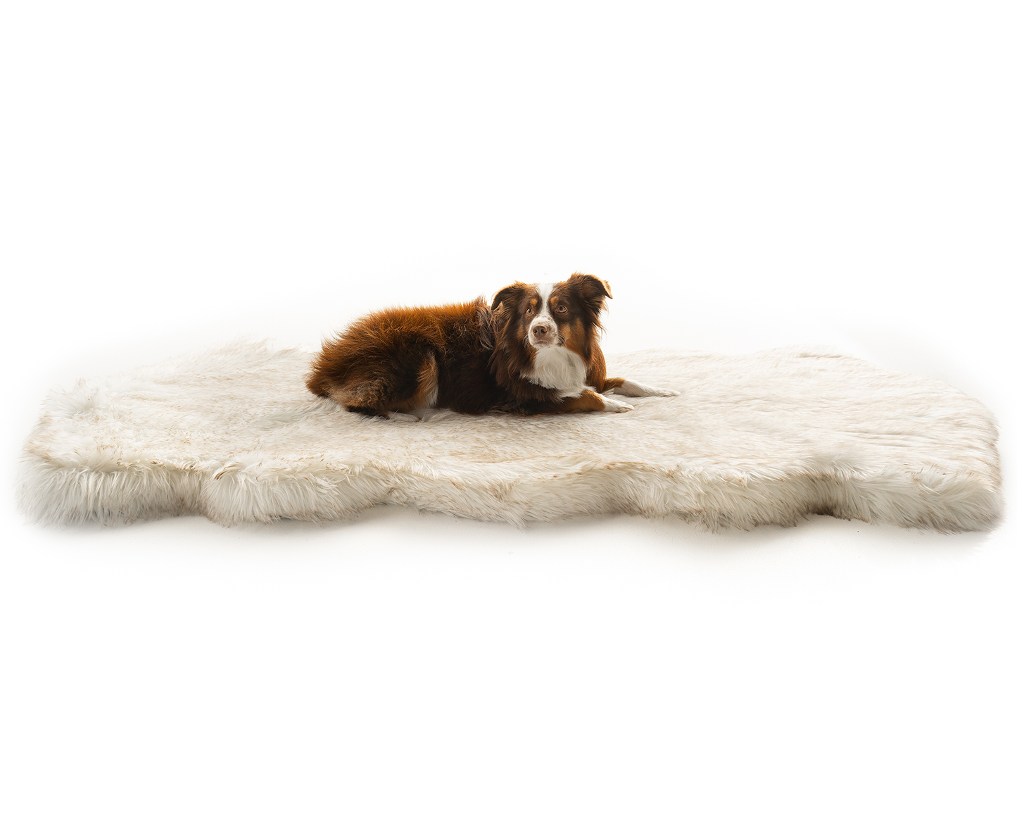 Faux Fur Dog Bed Cover for Memory Foam - Curve White with Brown Accents (Without Bed)