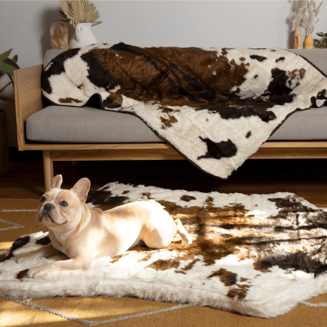 Memory Foam Dog Bed + Waterproof Blanket Set - Brown Faux Fur Cow Pattern