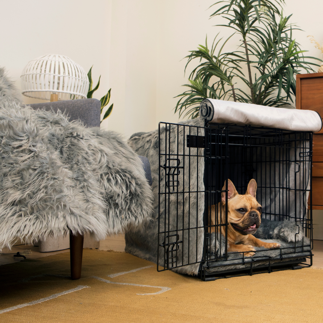 Crate Upgrade Set - Anthracite for Dogs