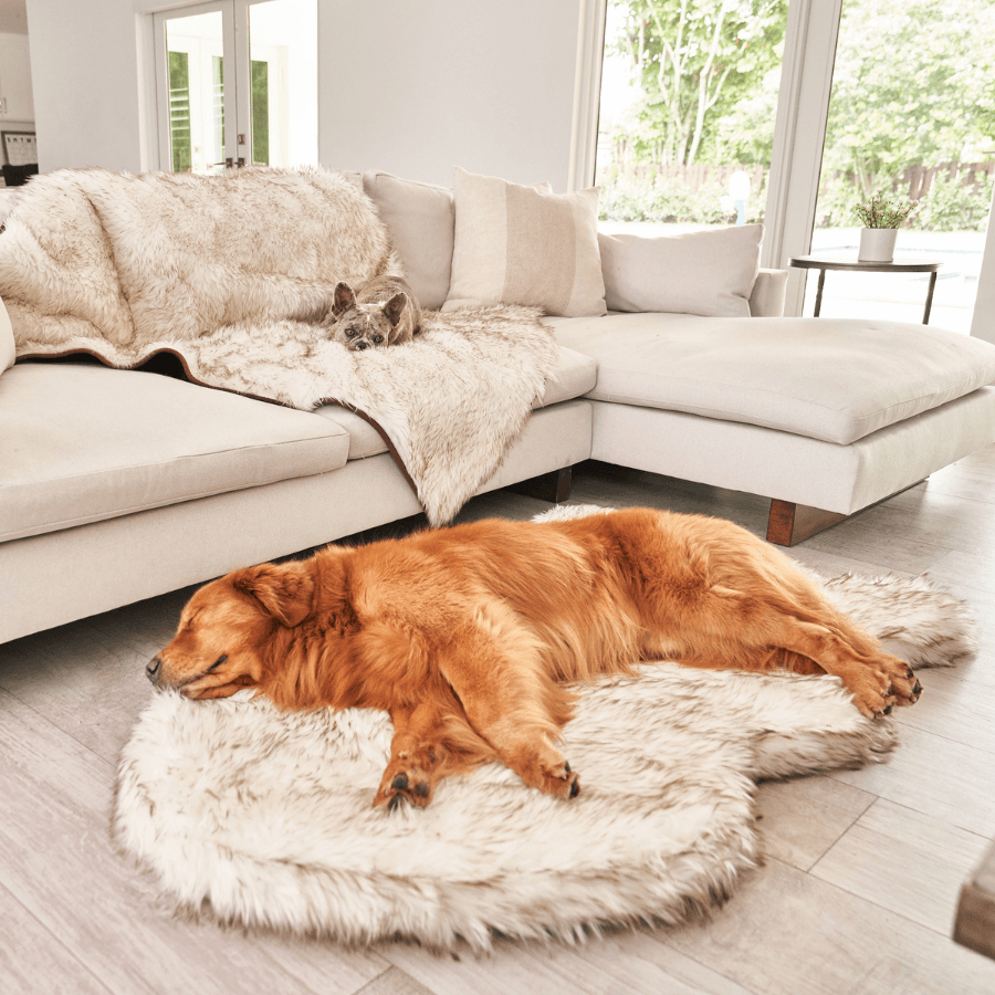 Orthopedic dog bed made of faux fur - curve white with brown accents