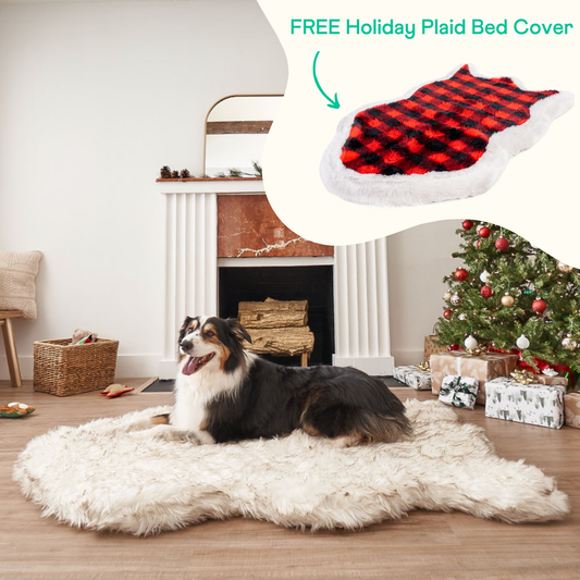 Orthopedic dog bed made of faux fur with brown accents + free red and black checked plaid