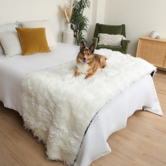 Waterproof Dog Bed Runner - Polar White