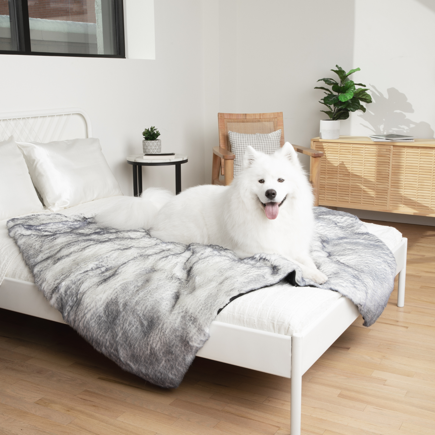 Orthopedic dog bed with waterproof blanket - Arctic Fox