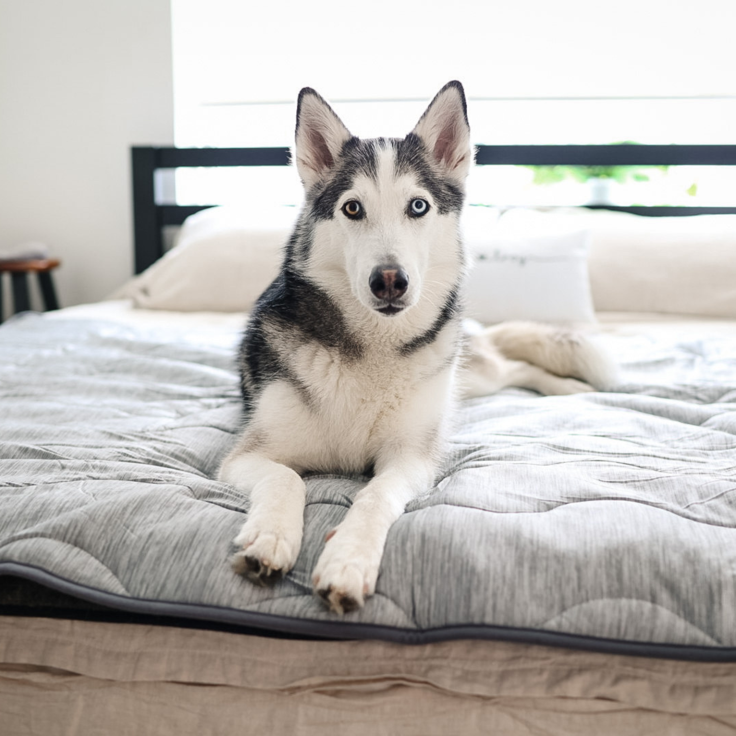 Cooling Waterproof Blanket for Dogs - Arctic Grey