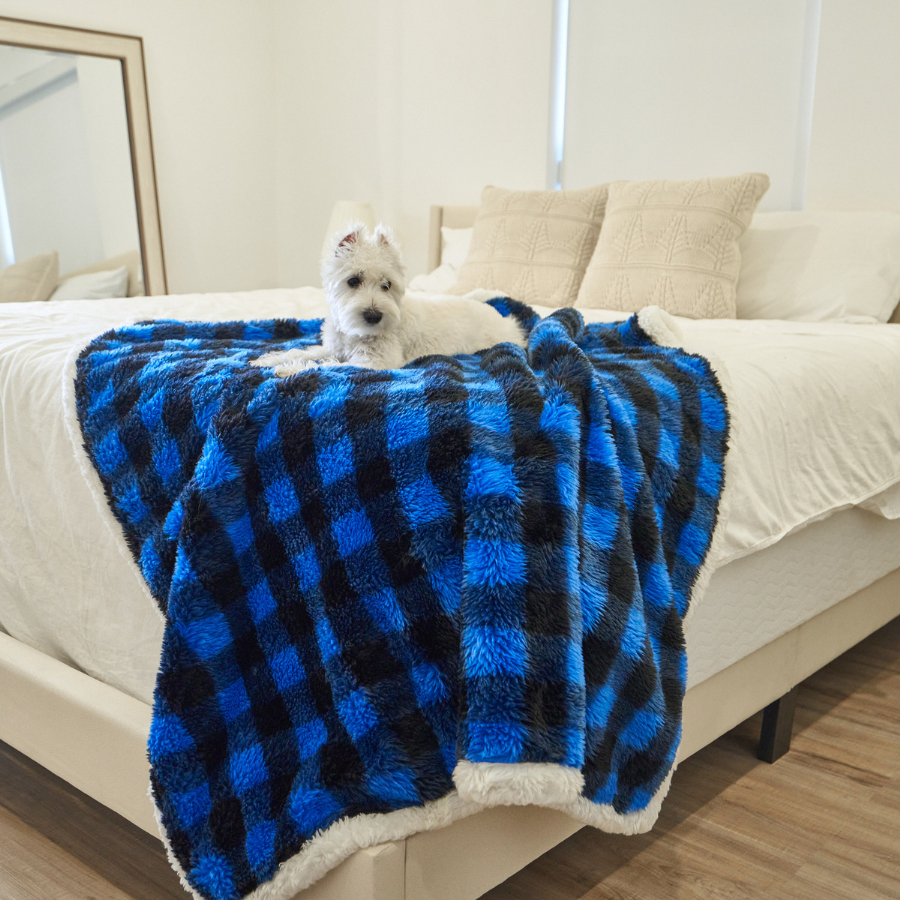 Waterproof Dog Blanket - Blue Buffalo Check