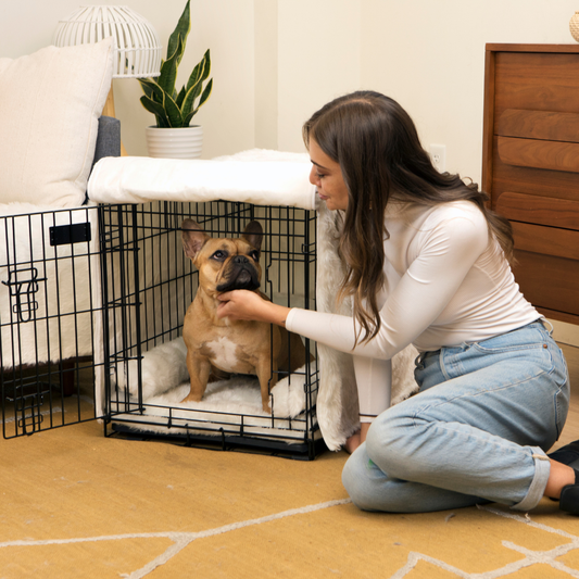 Dog Crate Upgrade Kit - Polar White