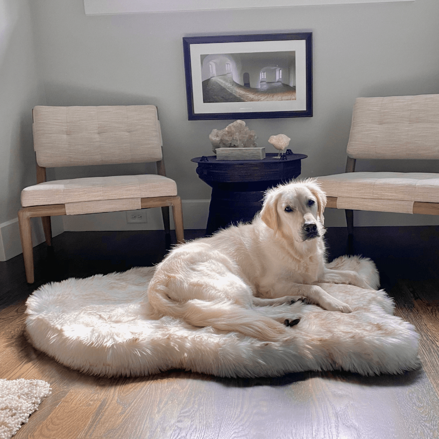 Orthopedic dog bed made of faux fur - curve white with brown accents