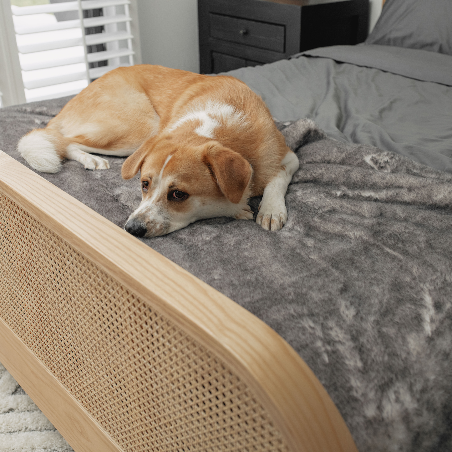 Waterproof bed runner for dogs - Chinchilla
