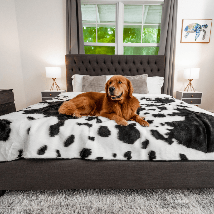 Waterproof blanket for dogs - Black faux fur