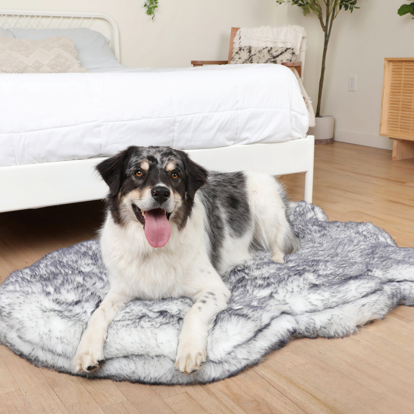 Orthopedic dog bed with waterproof blanket - Arctic Fox