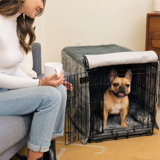 Crate Upgrade Set - Anthracite for Dogs