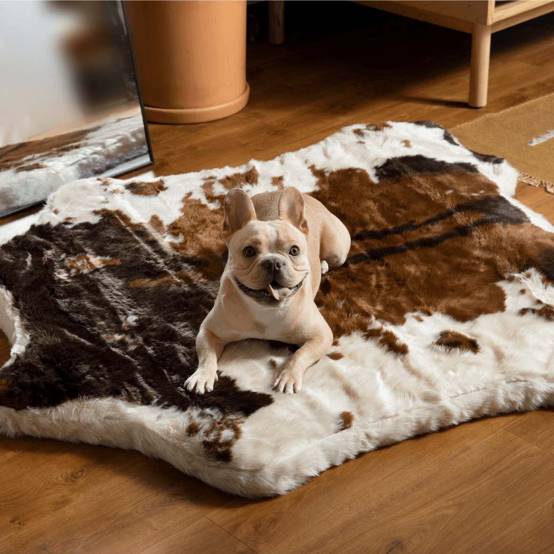 Memory Foam Dog Bed + Waterproof Blanket Set - Brown Faux Fur Cow Pattern