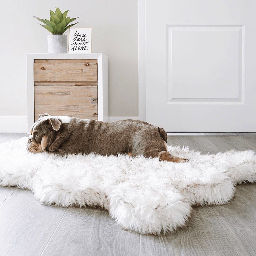 Orthopedic Faux Fur Dog Bed - White with Brown Accents