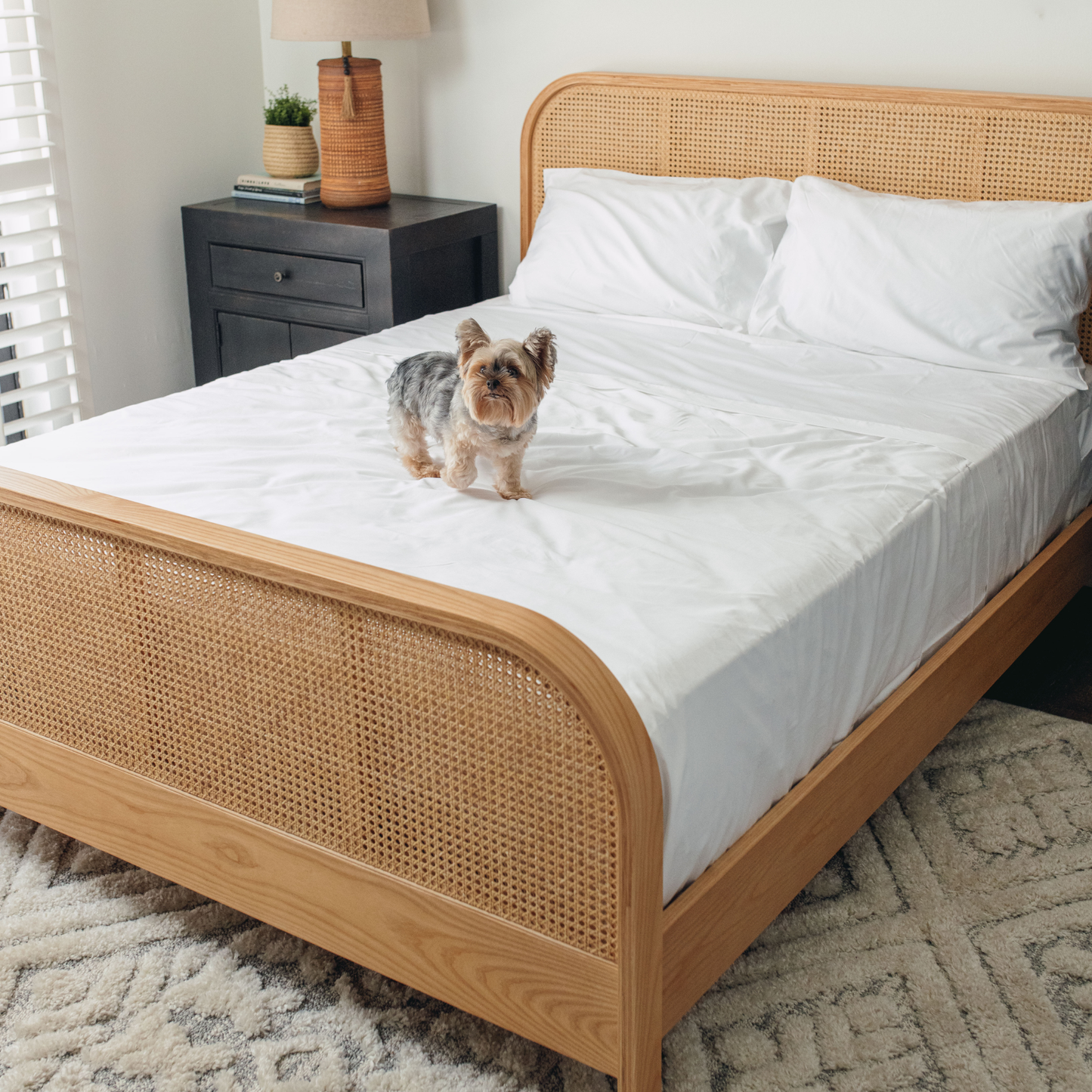 Hair Resistant, Antimicrobial and Cooling Bedding for Dogs - White