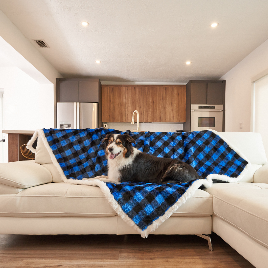 Waterproof Dog Blanket - Blue Buffalo Check