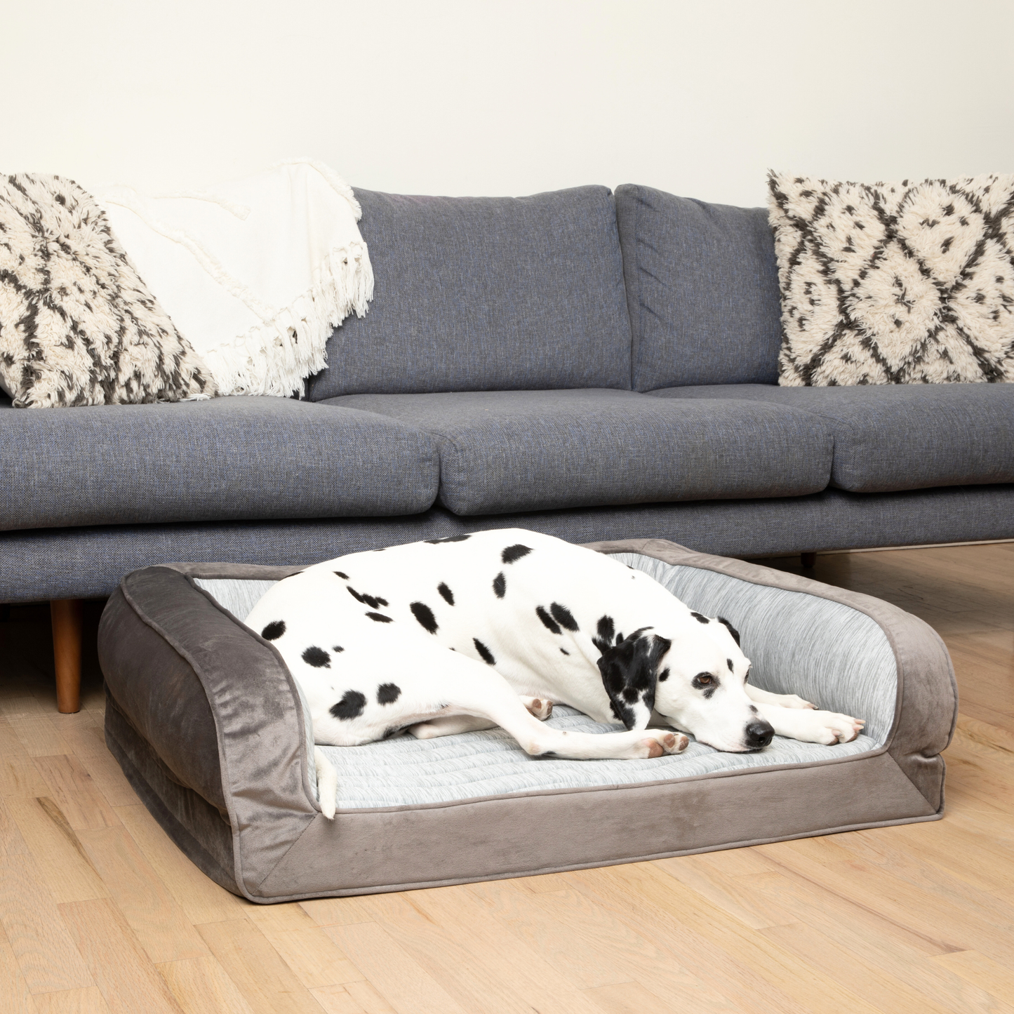 Cooling dog bed