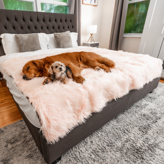 Waterproof Dog Blanket - Pale Pink