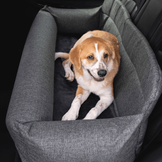 Memory foam dog bed for car